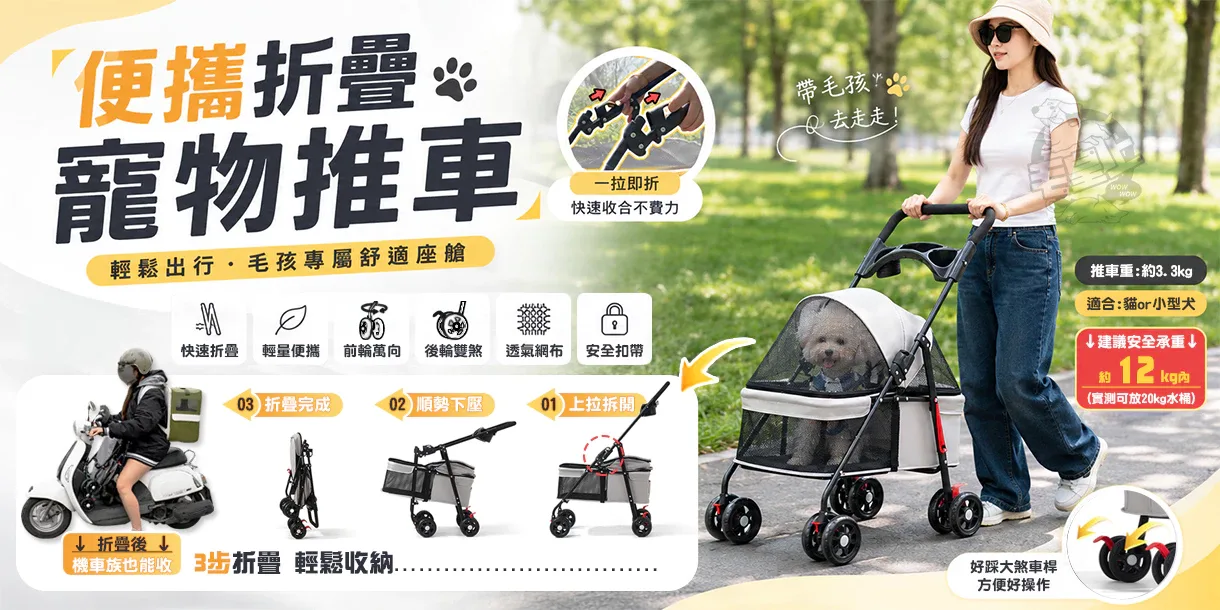 毛皇上 形象圖 2