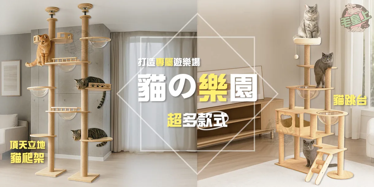 毛皇上 商品情境圖 3