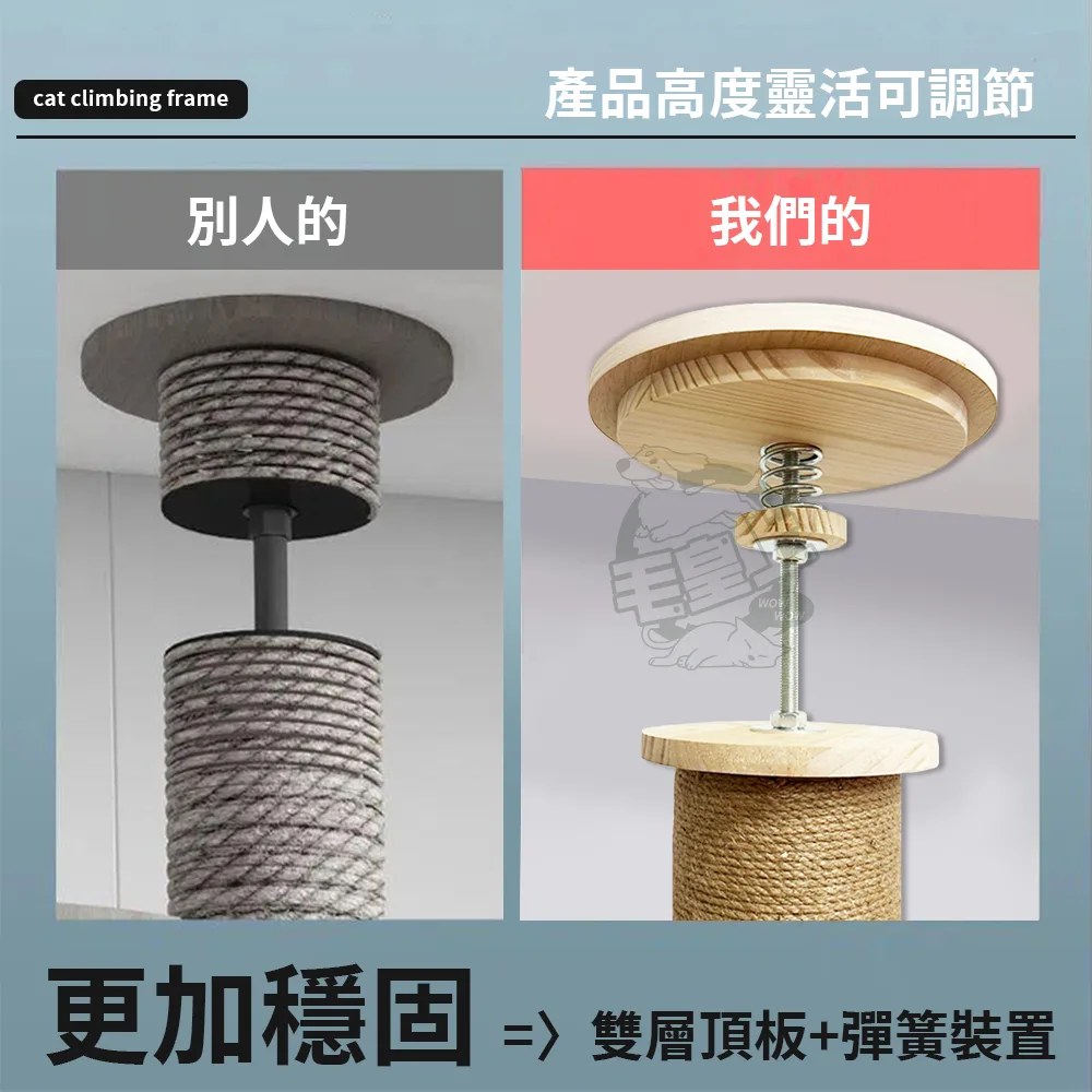 毛皇上 頂天立地貓跳台