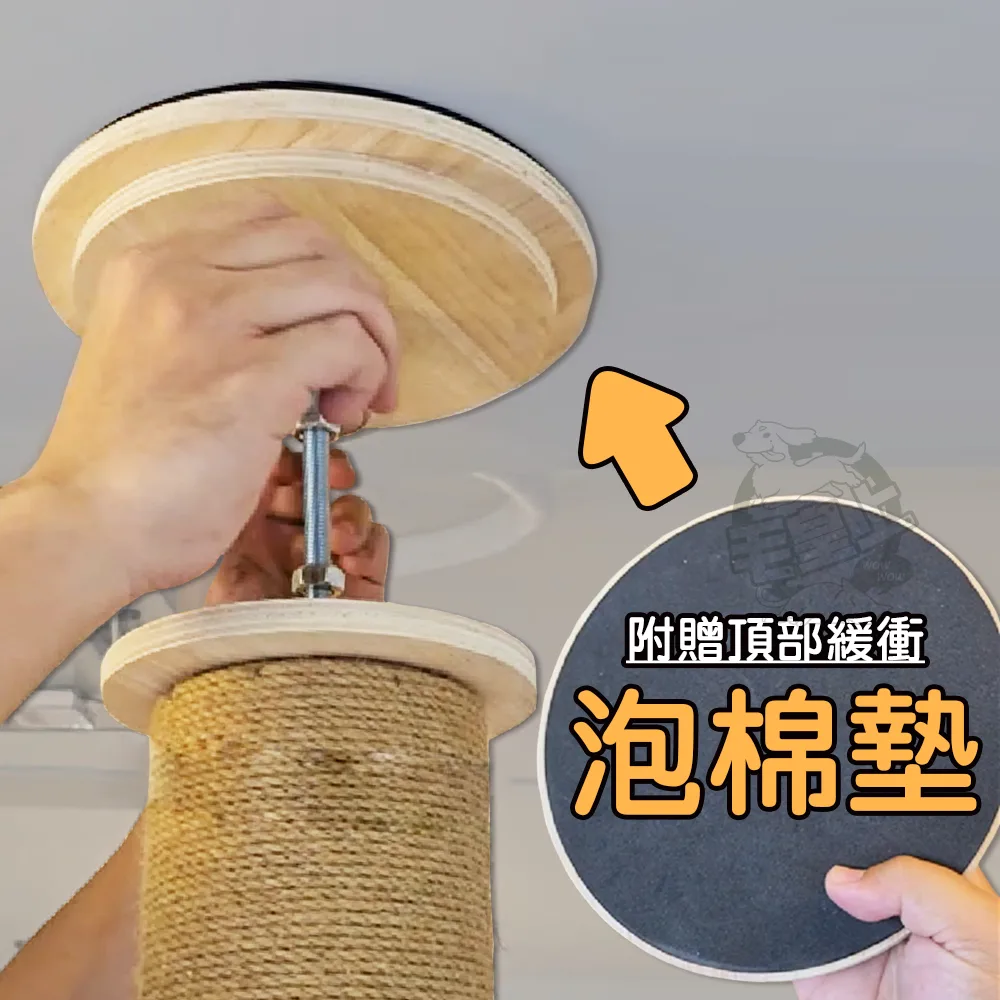 毛皇上 頂天立地貓跳台