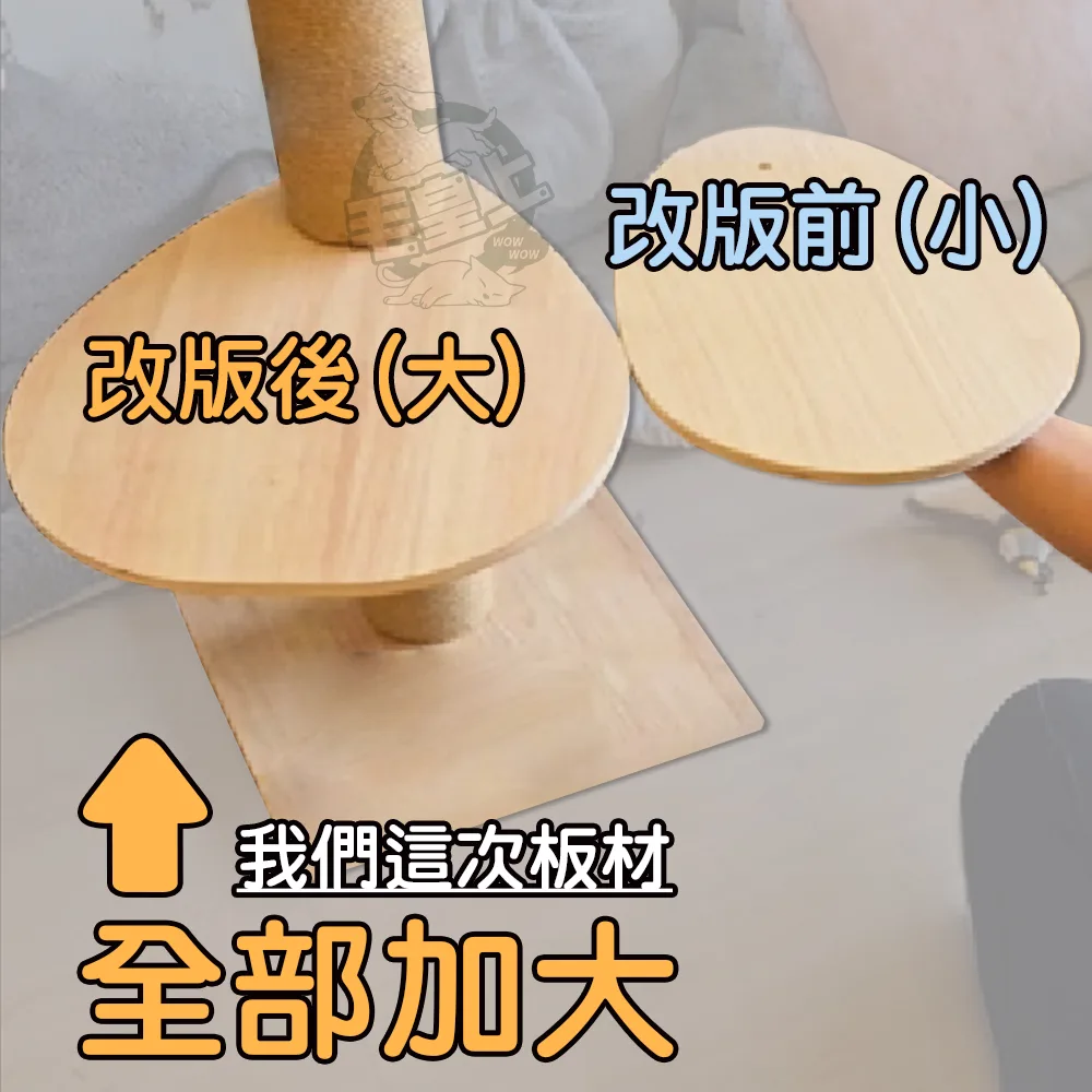 毛皇上 頂天立地貓跳台