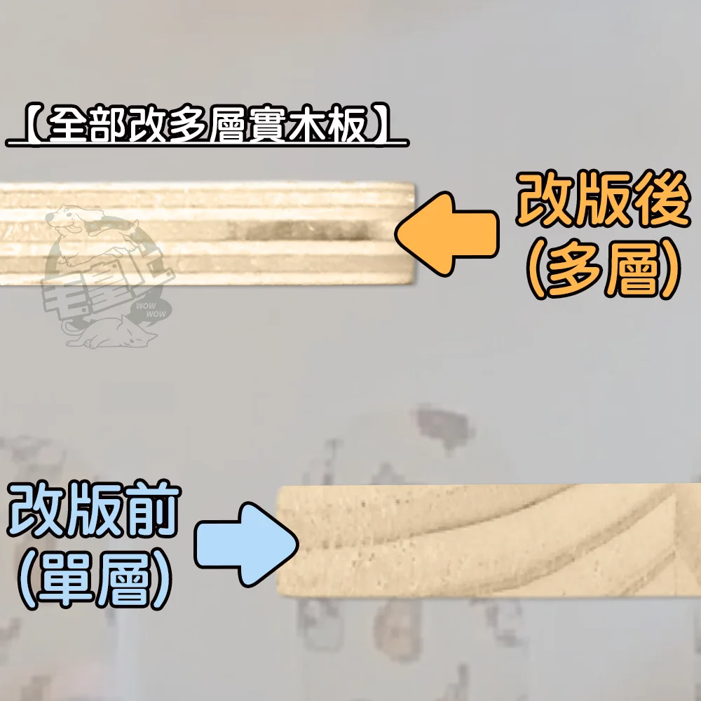 毛皇上 頂天立地貓跳台
