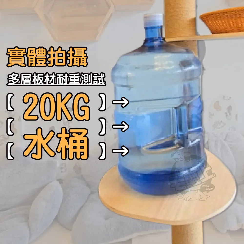 毛皇上 頂天立地貓跳台