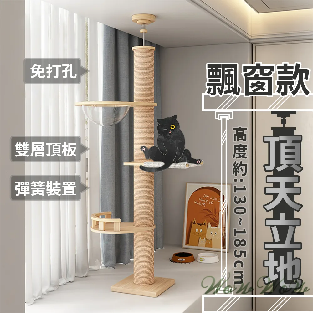 毛皇上 頂天立地貓跳台